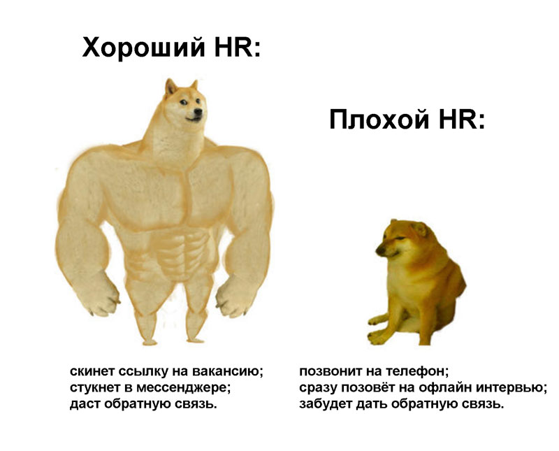 Как отличитесь хорошего HR от плохого?